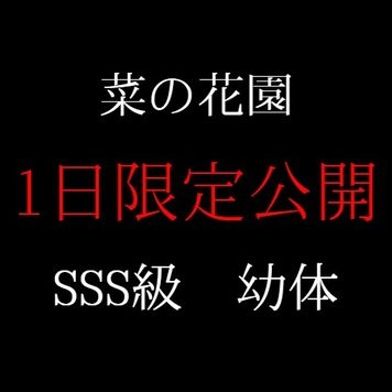 ※FC2史上最も危険【衝撃映像公開】SSS級幼体。強制処女喪失の一部始終。「本物」のハメ撮りと天使はここに。※1日限定公開映像