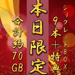 先着割◎本気のシークレットBOX！総額10万pt→2980pt　高額商品9本＋おまけ　【約70GB】0