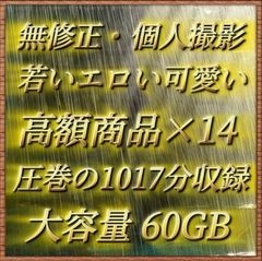 【無修正・６０GB】素人・個人撮影  プレミアムパック 圧巻の1017分収録【期間限定】0