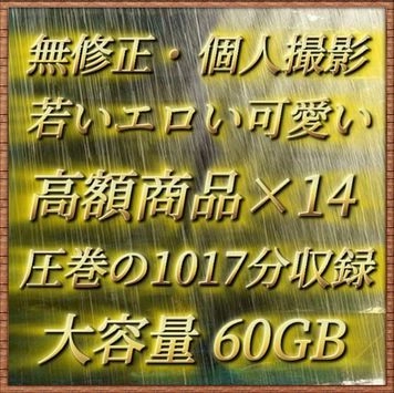【無修正・６０GB】素人・個人撮影  プレミアムパック 圧巻の1017分収録【期間限定】