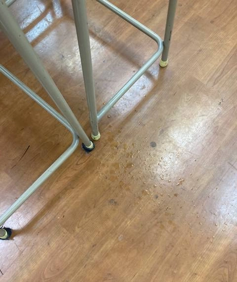 【過去最大潮吹き】机ってえっちもできるんだね　〜ごめんねクラスメイト〜　『みんなのどうぶつえん』1