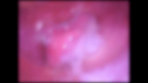 ★特典で無修正と膣内カメラ ♀152 大切にされてきたんだろう～な～という性格いいでしょってこにたっぷり半外半中出し！8