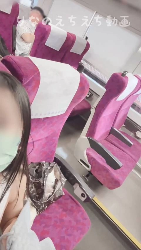 【女子大生りなのえちな露出オナ】電車の中で全裸オナニー！斜め後ろにはおじさんがいるのに下着姿から全裸になってディルドオナニーしちゃいました…駅のホームに入る時は凄くドキドキでした…4