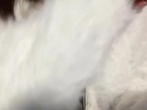 【限定数・期間限定】【ｵﾁﾞVS水菜!】ｵﾁﾞのｲﾋﾞｷを喘ぎでかき消せるのか!www 202505041