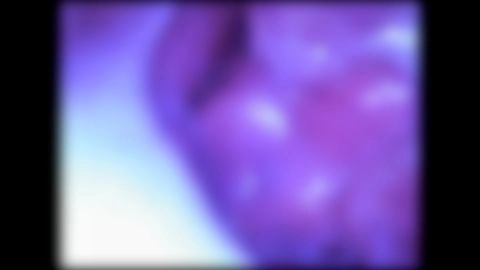 ★特典で無修正と膣内カメラ ♀163 20歳の大学SAY!に半外半中出し！20歳で大人の世界入りしてはしゃいでいる感じがなつかしい1