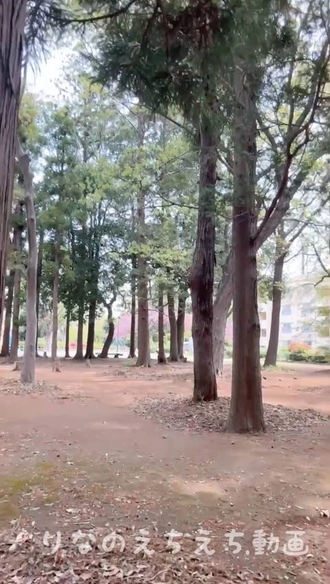 【女子大生りなのえちな露出オナ】公園の林の中のベンチの前で全裸でオナニー、途中で目隠しして大興奮…服装は「こ○○服」見た目はこ〇〇、頭脳は？なりなです…1