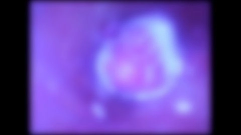 ★特典で無修正と膣内カメラ ♀165 感度抜群でイキまくりのあずちゃんと奏でる喘ぎ声交響曲♡ 半外半中出し！夏を感じるフレッシュなスレンダーおなごです♡8