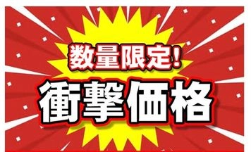 【数量限定】【衝撃価格】極上の美女たちが甘酸っぱい記憶を取り戻してくれます！！
