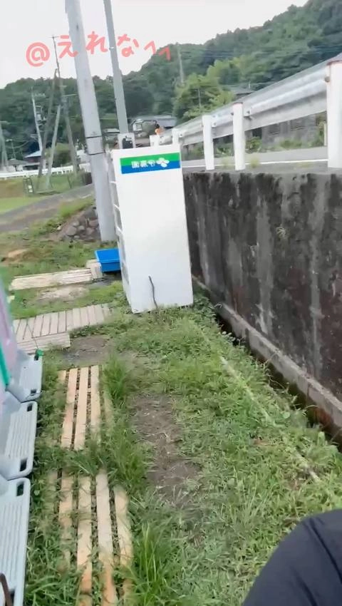 露出!〈素人自撮り〉大〇生！　やりすぎ全裸オナニー！車が走っている道路脇で全裸になってディルドオナニー、、自転車の人にガン見されて、車の人も絶対見えてる！たくさん車が通りすぎて何度もイきました、、6