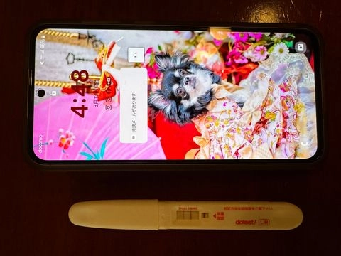 ももかちゃん２４歳危険日子宮拡張＃６2