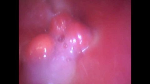 ♀186 素朴で笑顔あふれるあすかちゃんはもちろん陰毛あり パンティチェックに赤面 カメラの前で丸裸で恥ずかしがるが、生ちんぽに喘いで最後は半外半中出し　★特典で無修正と膣内カメラ8